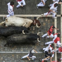 Fiestas, Bullfighting, and Wine